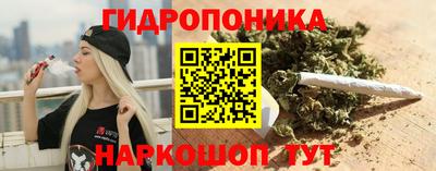 мяу мяу мука Кингисепп