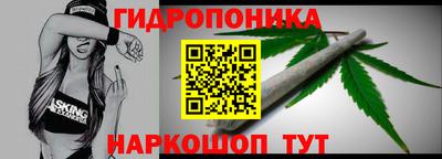 мяу мяу мука Кингисепп